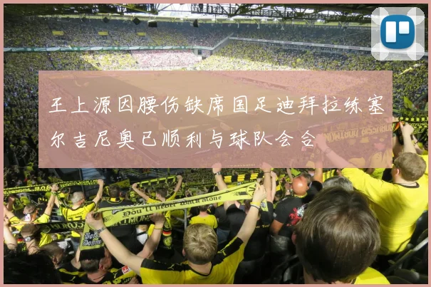 王上源因腰伤缺席国足迪拜拉练塞尔吉尼奥已顺利与球队会合