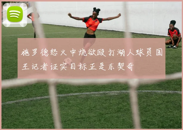 施罗德怒火中烧欲殴打湖人球员国王记者证实目标正是东契奇